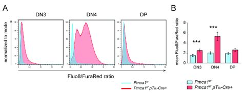 PMCA1 Keeps Cytosolic Ca 2 Levels Low During T Cell Development A B