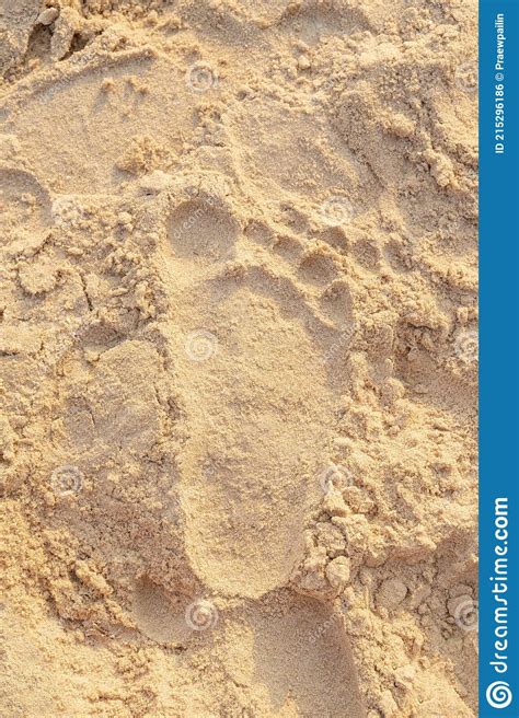 Beach Sand Footprint Ocean Coast Sea Close Up Stock Photo Image Of