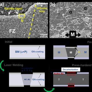 Representative A Om And B Sem Micrograph Of The Ferrite Layer