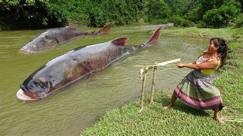 Full Video Days Survival In The Rainforest Unique Fishing