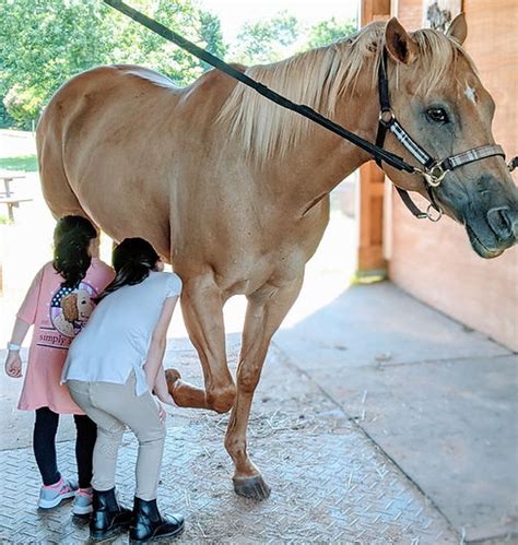 Horseback Riding Lessons | Sassy Stables