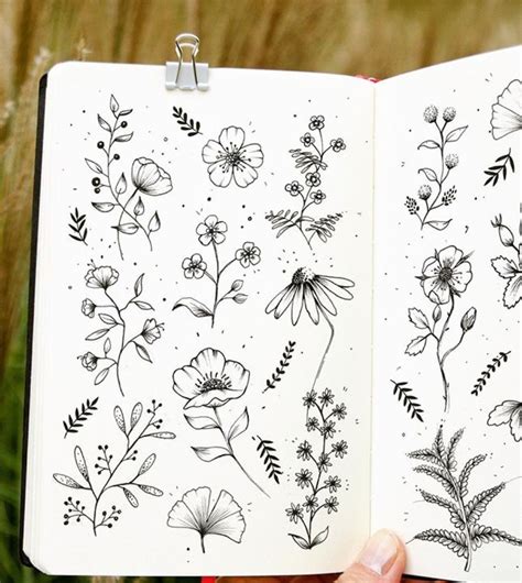 Pin by hyemin on Doodles | Doodle art flowers, Floral drawing, Book art ...