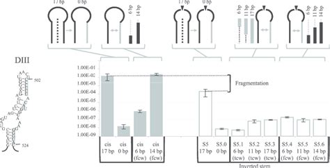 Sex Factor Conjugation Efficiency Of The Llltrb S5dorf Variants Download Scientific Diagram