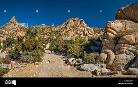 Hiking Trail To Giant Ledge Mine Caruthers Canyon New York Mountains