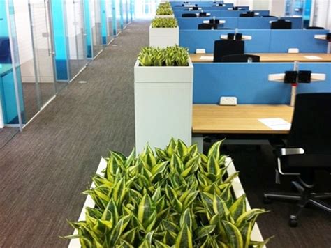 40 Refreshing Indoor Office Garden Ideas Office Salt