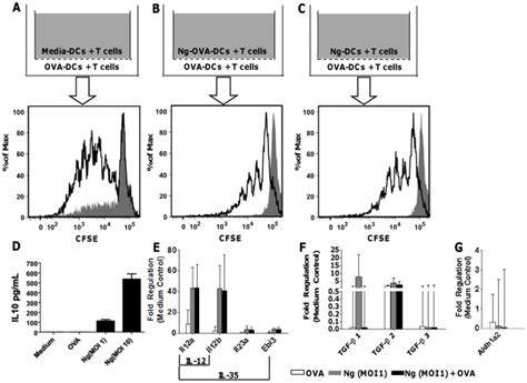 Ac Cfse Proliferation Profiles For Ot Ii T Cells Co Cultured With