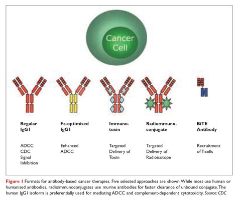 Advances In Antibody Therapy A Promising New Approach To How We Treat