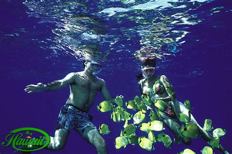 Snorkeling in Hawaii - Hawaii Tours Discount Blog