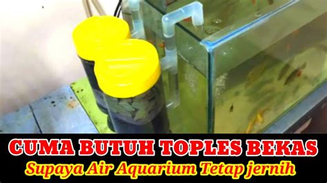 Simpel Dan Murah Aquarium Jernih Selamanya Cara Membuat Filter