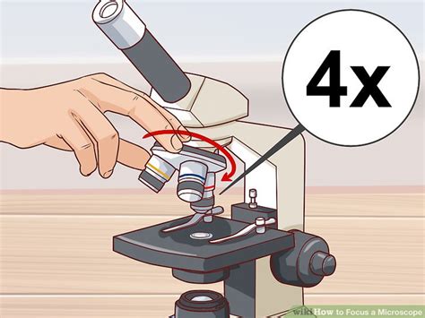 3 Ways To Focus A Microscope Wikihow