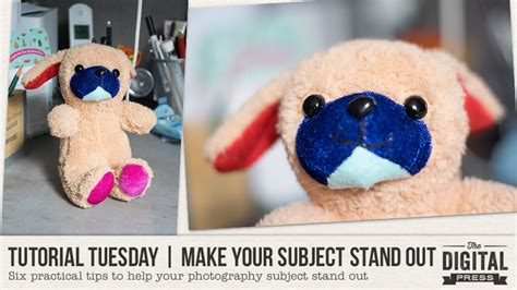 Tutorial Tuesday Make Your Subject Stand Out The Digital Press