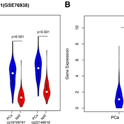 Slco C Methylation And Mrna Expression Level In Gse Dataset A