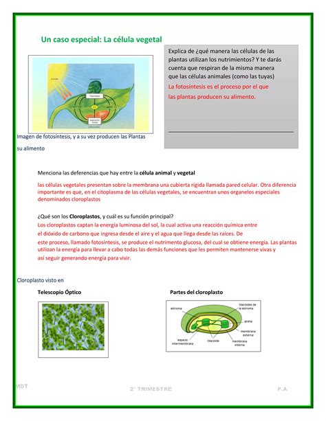 Cuadernillo Actividades Trimestre II Ciencias I PDF