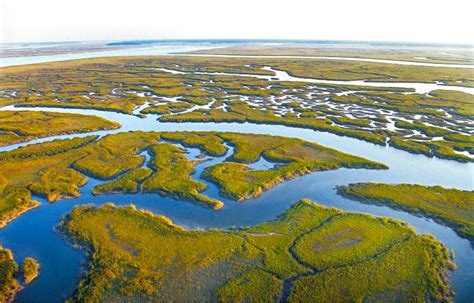 World Wetlands Day 2023 It Is Time For Wetland Restoration