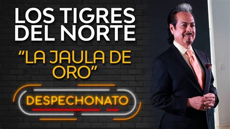 Los Tigres Del Norte La Jaula De Oro Música Popular con Letra YouTube