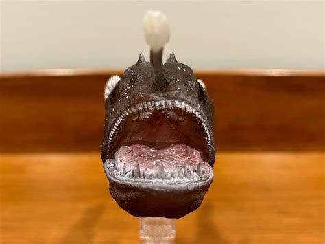 Anglerfish (Sealife by CollectA) – Animal Toy Blog