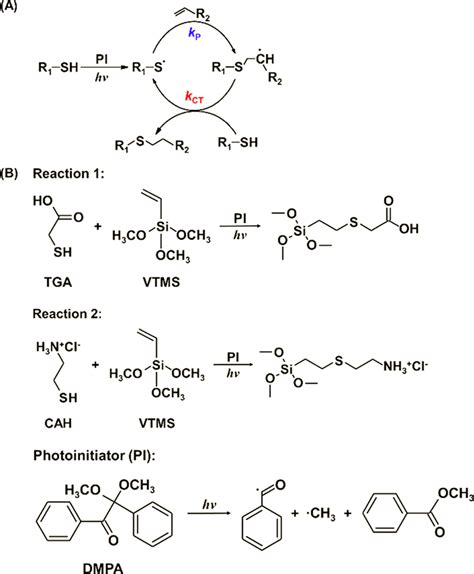 (A) Scheme for the simplified mechanism of the photoinitiated thiol−ene ...