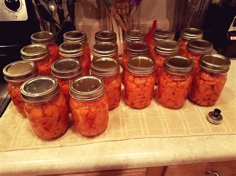 Pressure Canning Recipes For Vegetables Foodrecipestory