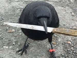 Crow With Knife Blank Template - Imgflip