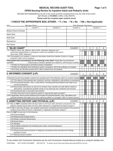 Printable Medical Chart Audit Template