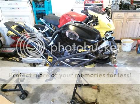 SFV Gladius Naked Racer Suzuki SV Riders Forum