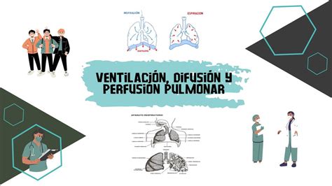 Ventilación Difusión y Perfusión Pulmonar