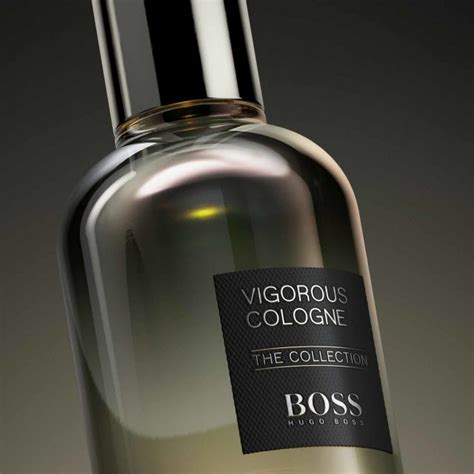 Hugo Boss Boss Collection Eau De Parfum Vigorous Cologne 100 Ml