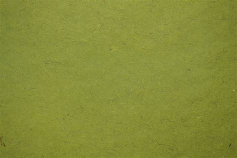 Green Construction Paper Texture