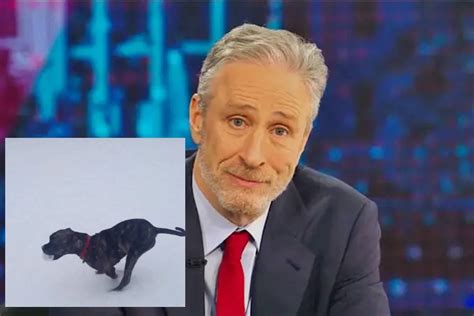 Jon Stewart Mourns The Loss Of His Dog Dipper The Statesman