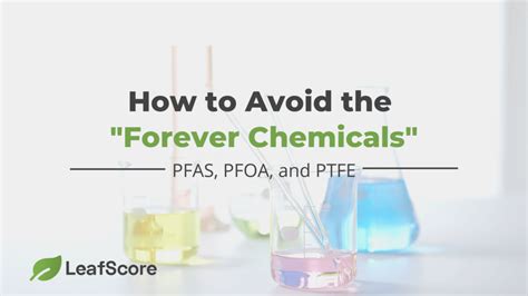 Pfas Pfoa And Ptfe Everything You Need To Know Leafscore