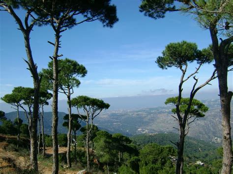 { Lebanon Nature Gallery } | Beautiful places on earth, Nature, Lebanon