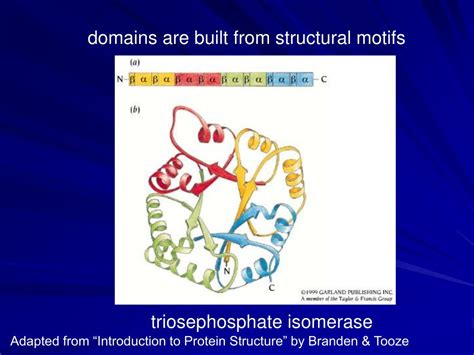 Ppt Motifs Of Protein Structure Powerpoint Presentation Free