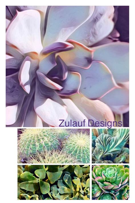 Pin By Susan Zulauf On Zulauf Designs Succulents Plants Garden