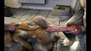 Vídeos yaoi XVIDEOS