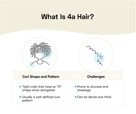 4a Hair Guide: How to Maintain and Style It - StyleSeat Pro Beauty Blog