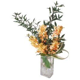 Mokara Orchid Sunshine Fresh Flower Profiles | Flower of the Month Club