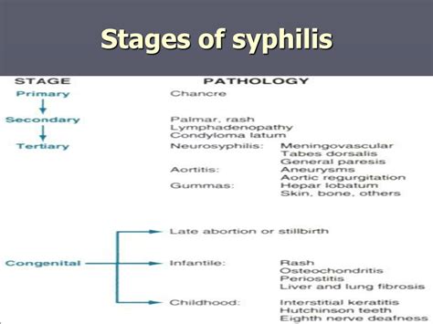 Ppt Syphilis Powerpoint Presentation Free Download Id 9235292