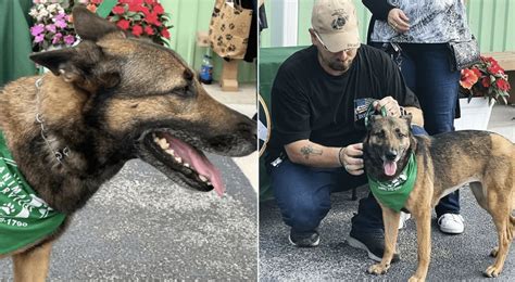 Denuncian Que Mujer Lanz A Su Perrita Desde El Do Piso De Un Edificio