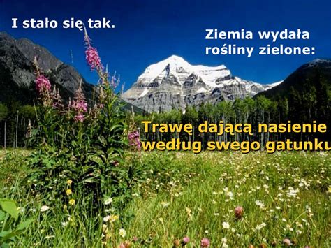 Hymn O Stworzeniu Wiata Ksi Ga Rodzaju