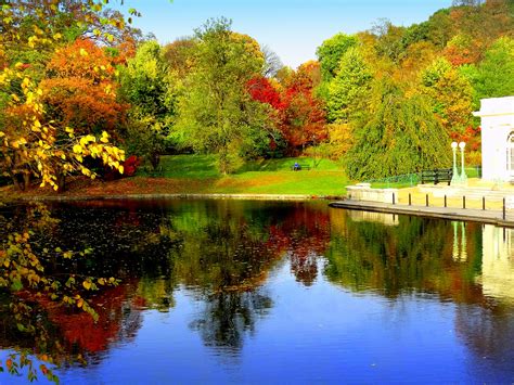 Wallpaper Reflection Water Nature Leaf Waterway Autumn Tree