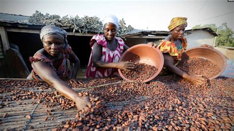 Cocoa Ivory Coast Ghana Duo Issue Ultimatum To Chocolate Industry