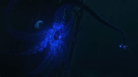 Image - Finding-dory-disneyscreencaps com-2153.jpg | Disney Wiki | FANDOM powered by Wikia