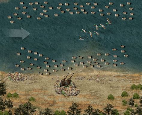 Goose Decoy Setups
