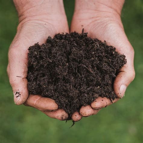 Westland New Horizon All Plant Peat Free Compost 50l Newgate Nurseries