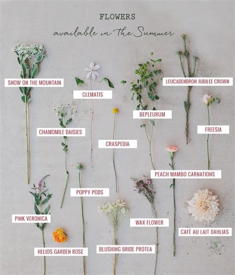 Seasonal Flower Guide Summer Wedding Flowers Summer Seasonal