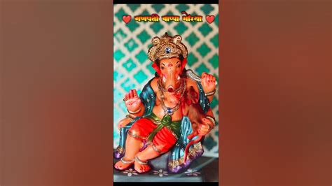 mauul mauul tajha jayaghashha ganaepata bpapa marayaviral trending