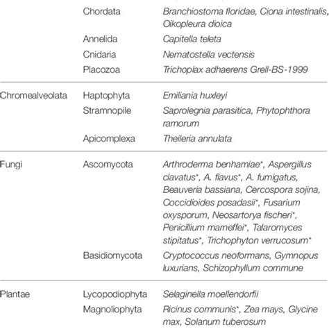 Reaction mechanism catalyzed by microbial ACC deaminase. Route I ...