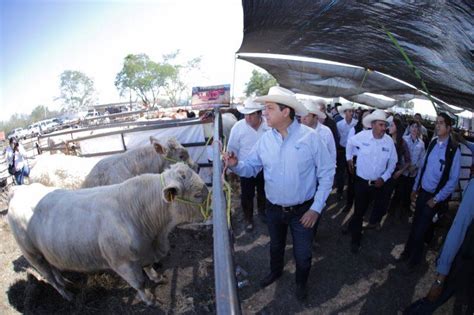 Refrenda Gobernador Su Apoyo A Ganaderos