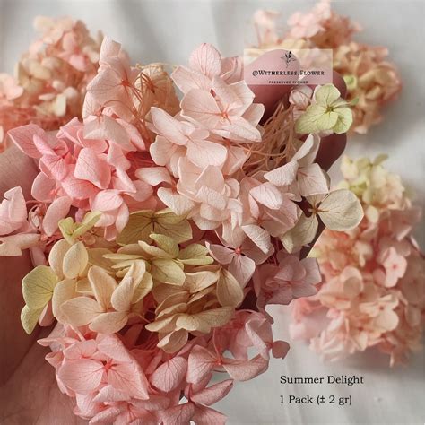 Jual 2 Gr Preserved Hydrangea Grade A Dried Flower Awetan Bunga