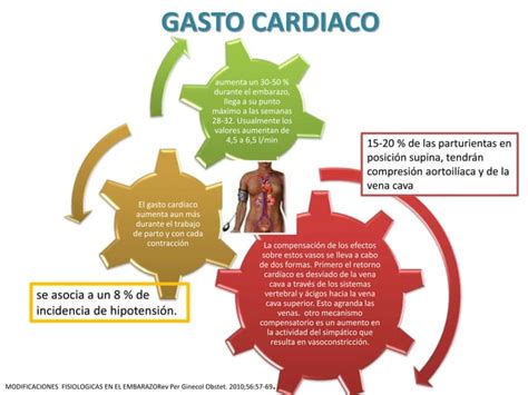 Cambios Fisiologicos Durante El Embarazo PPT Descarga Gratuita